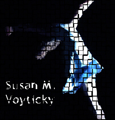 Susan M. Voyticky